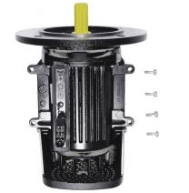 Grundfos Ersatzteil Kit Motor für MGE80B 1F/R230-2 1.1kW B5-19-H - 98293790