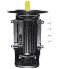 Grundfos Ersatzteil Kit Motor für MGE80C 3R430-4 .75kW B5-19-I - 98293804